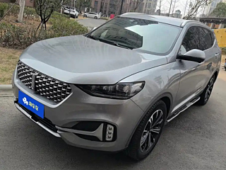 wey vv6