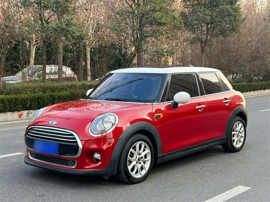MINI OTHER 2015
