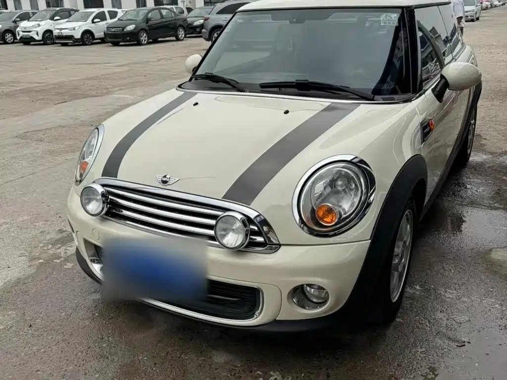 MINI OTHER 2013