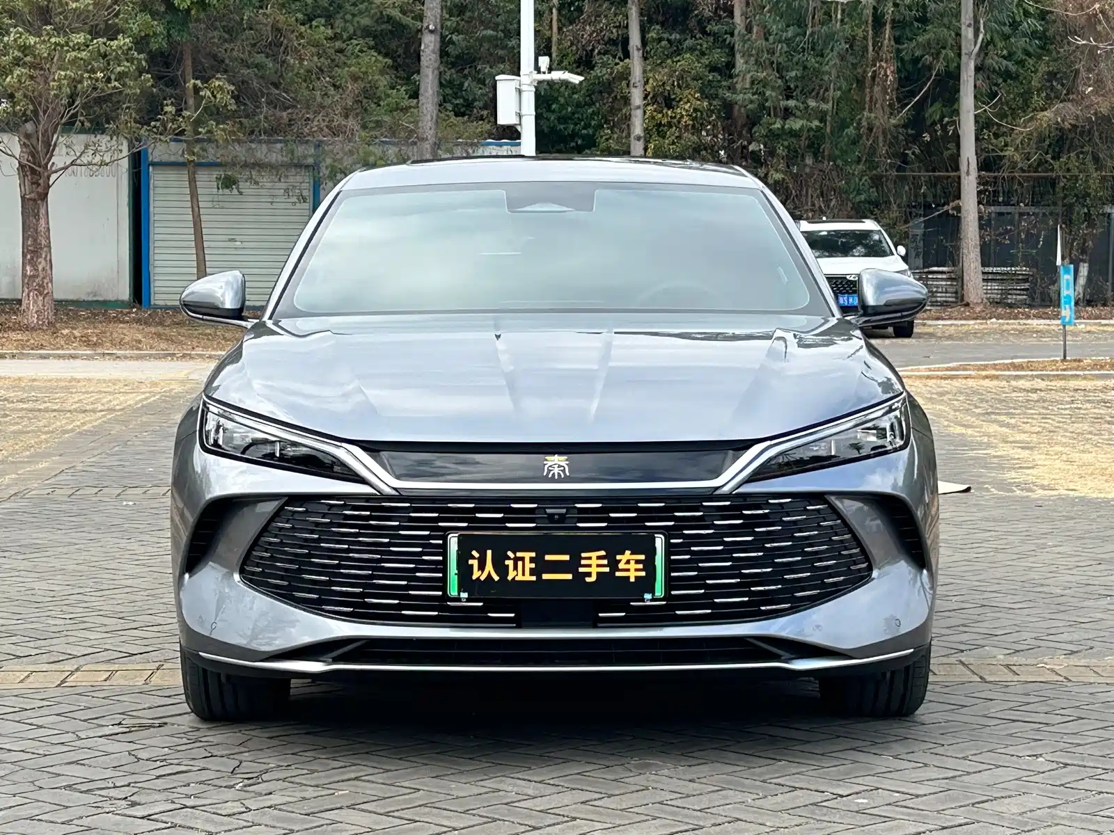 BYD QIN L 2024