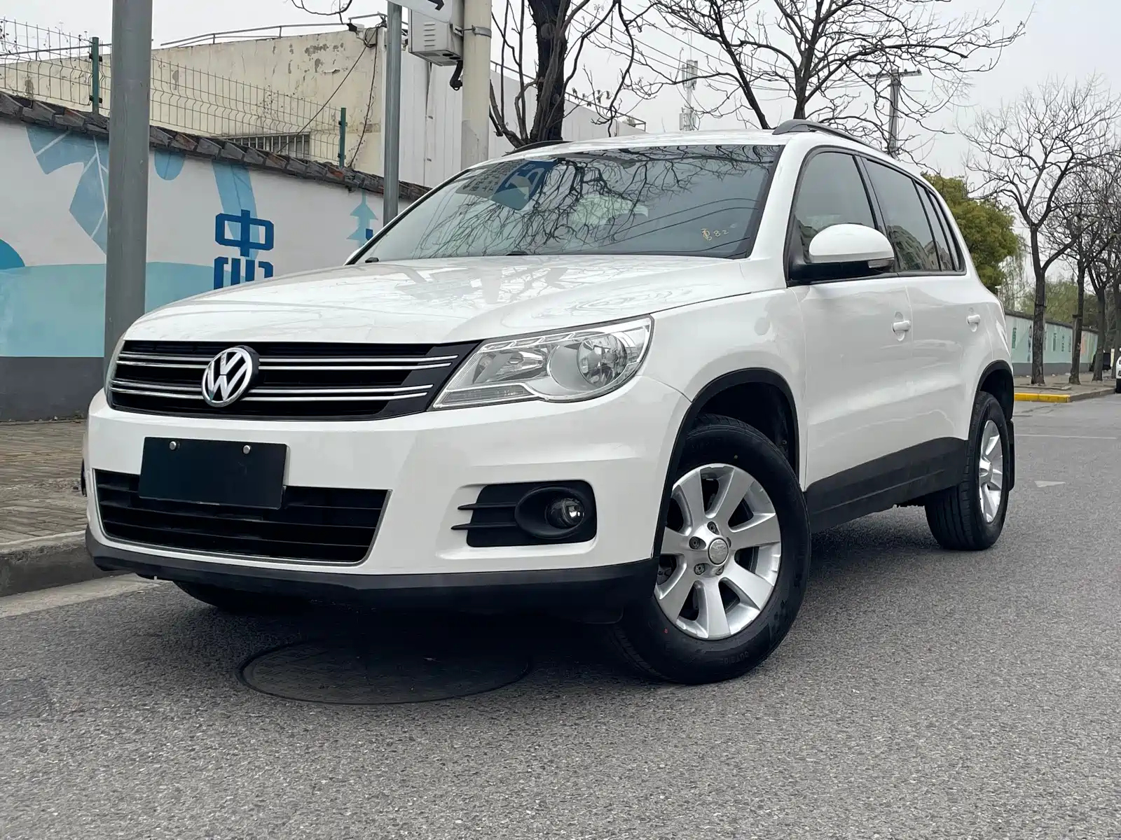 VOLKSWAGEN TIGUAN 2010
