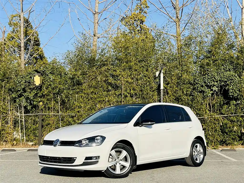 VOLKSWAGEN GOLF 2017