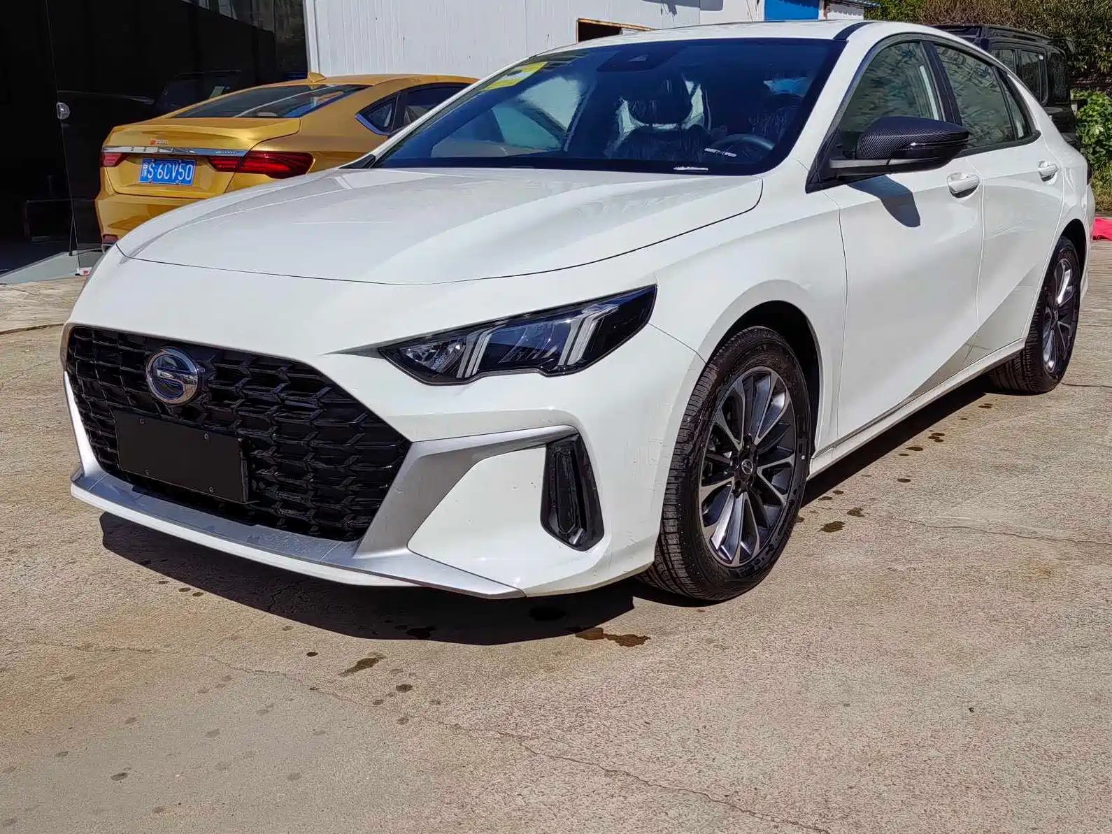 TRUMPCHI EMPOW