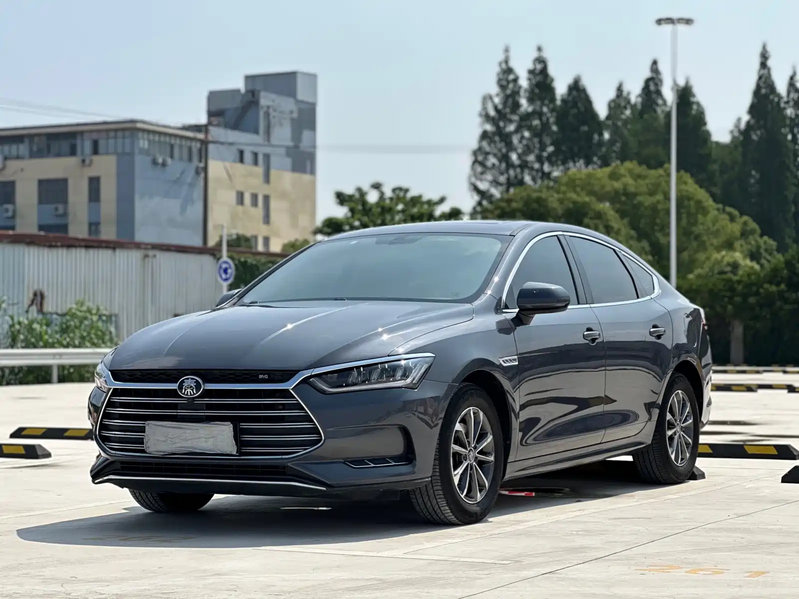 BYD QIN PRO NEW ENERGY 2019