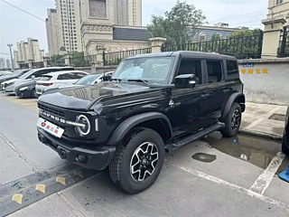 ford other