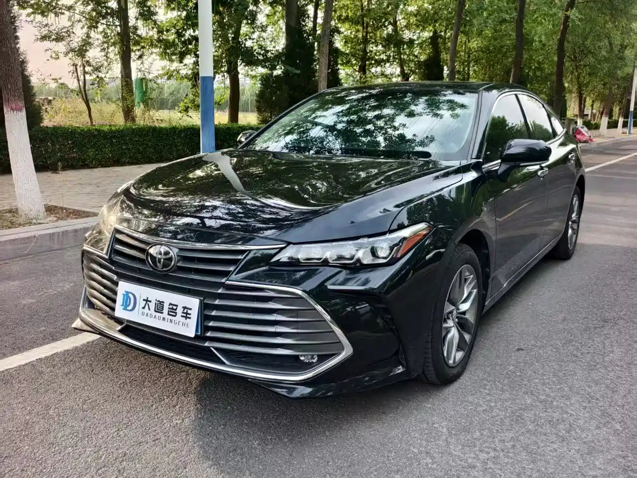 TOYOTA AVALON 2019