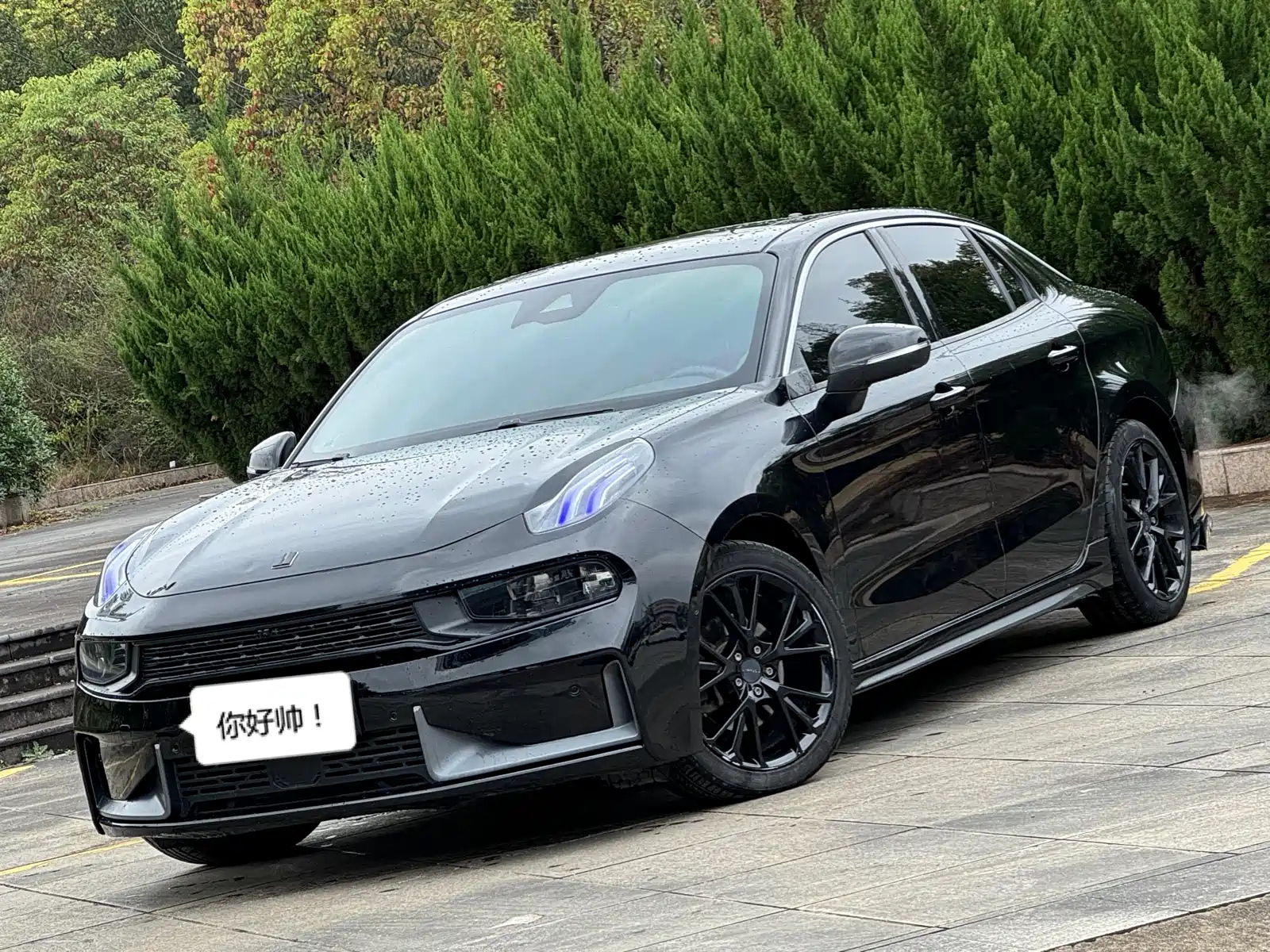 LYNK 03 2019