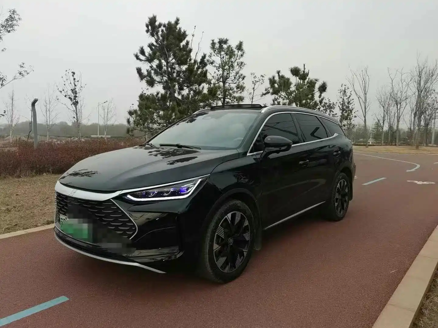 BYD TANG NEW ENERGY 2024