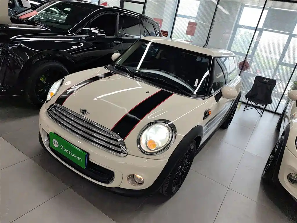 MINI OTHER 2013