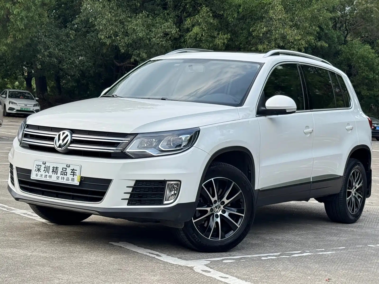 VOLKSWAGEN TIGUAN 2013