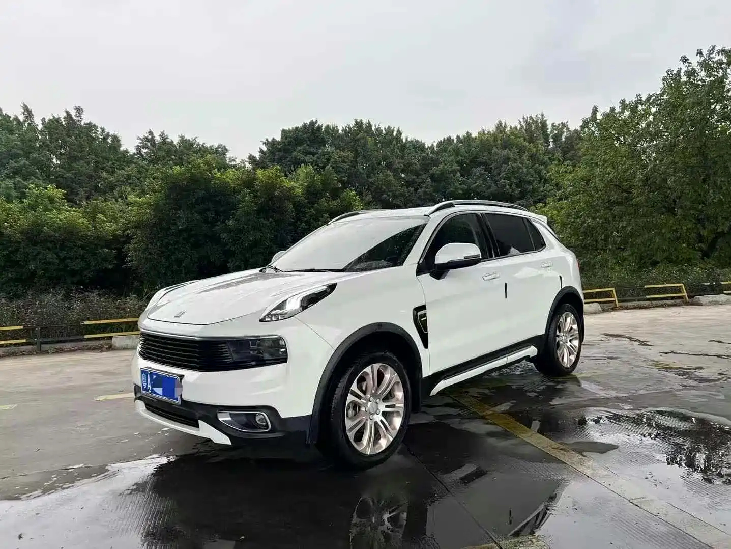 LYNK 01 2017