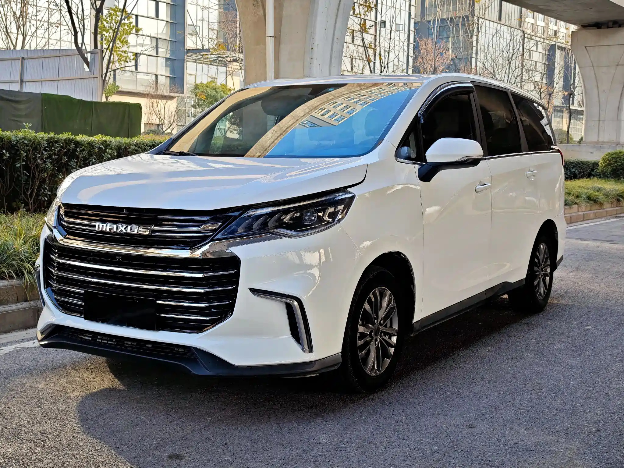 MAXUS OTHER 2020