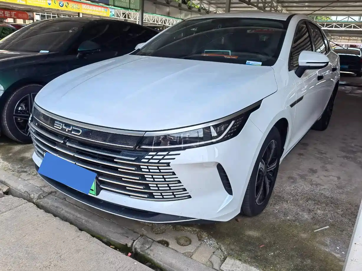 BYD DESTROYER 05 2024