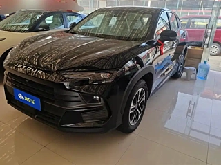 Заказать JETOUR DASHING