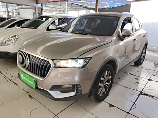 Заказать BORGWARD BX5