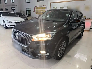 Заказать BORGWARD BX7