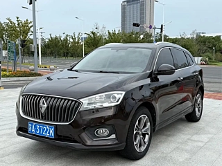 Заказать BORGWARD BX7