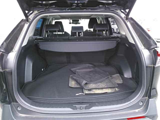 TOYOTA RAV4 2020