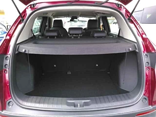 HONDA WR-V 2024
