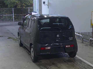 SUZUKI ALTO 2017