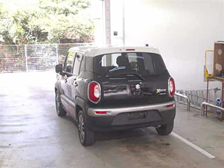 SUZUKI XBEE 2023