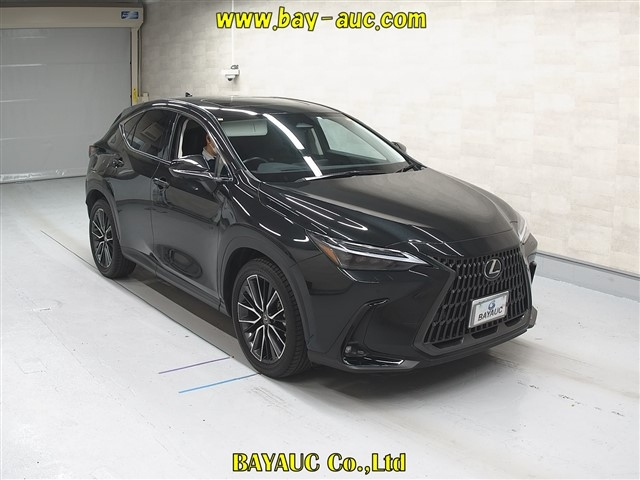LEXUS NX 2023