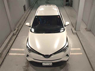 TOYOTA C-HR 2019