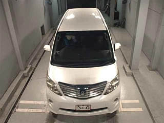 TOYOTA ALPHARD 2010