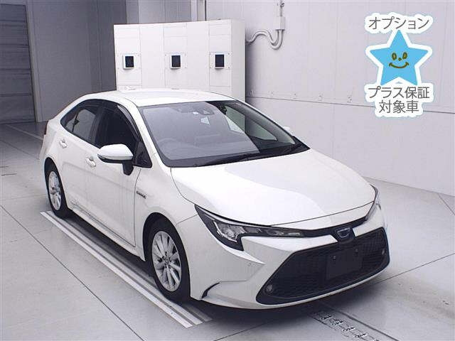 TOYOTA COROLLA 2019