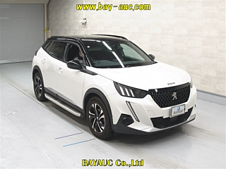 PEUGEOT 2008 2020