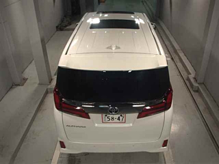 TOYOTA ALPHARD 2022