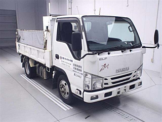 ISUZU ELF 2017