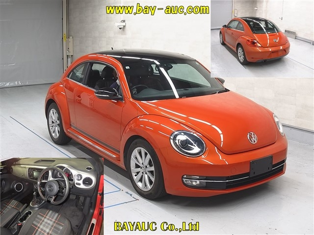 VOLKSWAGEN THE BEETLE 2015