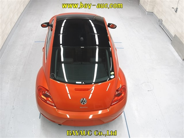 VOLKSWAGEN THE BEETLE 2015