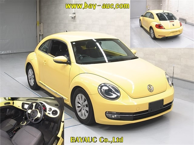 VOLKSWAGEN THE BEETLE 2013