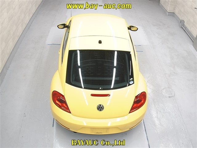 VOLKSWAGEN THE BEETLE 2013