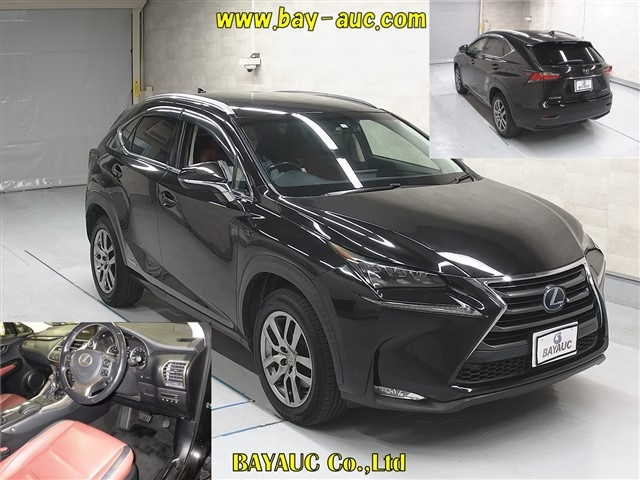 LEXUS NX 2015
