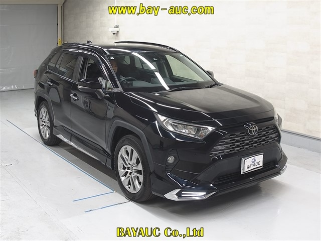 TOYOTA RAV4 2019