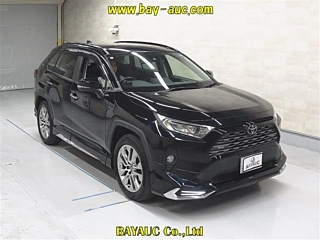 TOYOTA RAV4 2019