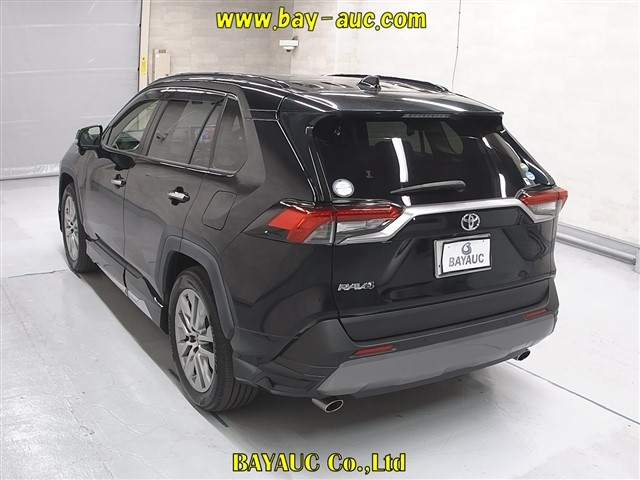 TOYOTA RAV4 2019
