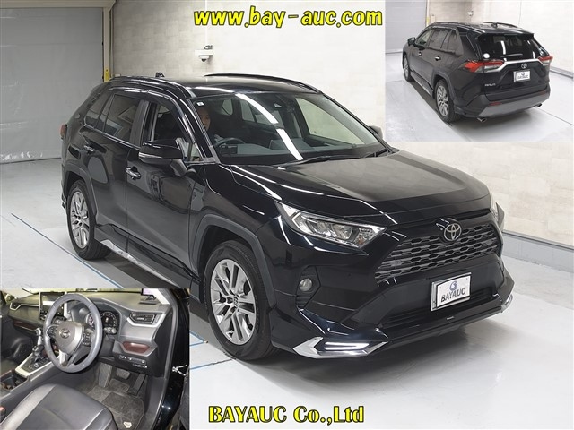 TOYOTA RAV4 2019