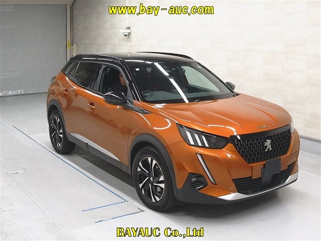 PEUGEOT 2008 2020