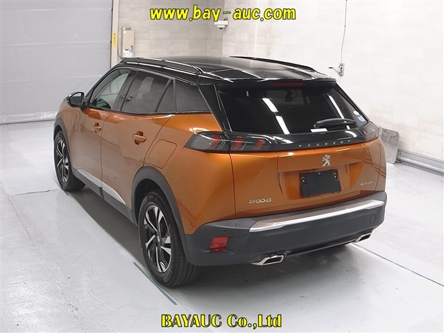 PEUGEOT 2008 2020