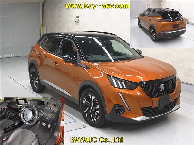 PEUGEOT 2008 2020
