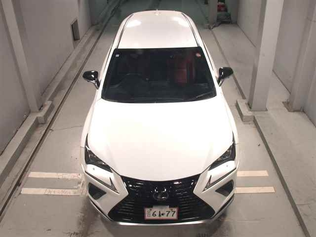 LEXUS NX 2019