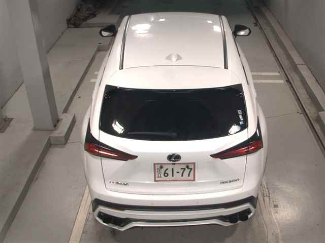 LEXUS NX 2019