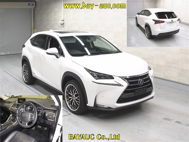 LEXUS NX 2014