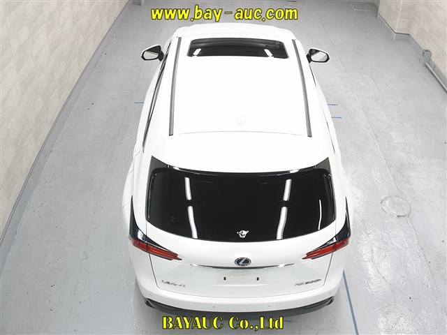 LEXUS NX 2014