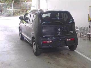 SUZUKI ALTO 2017