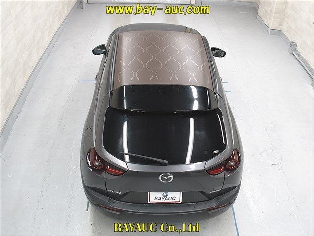 MAZDA MX-30 2021
